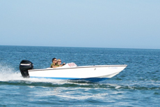 Key West Speedboat Tour cruise excursion